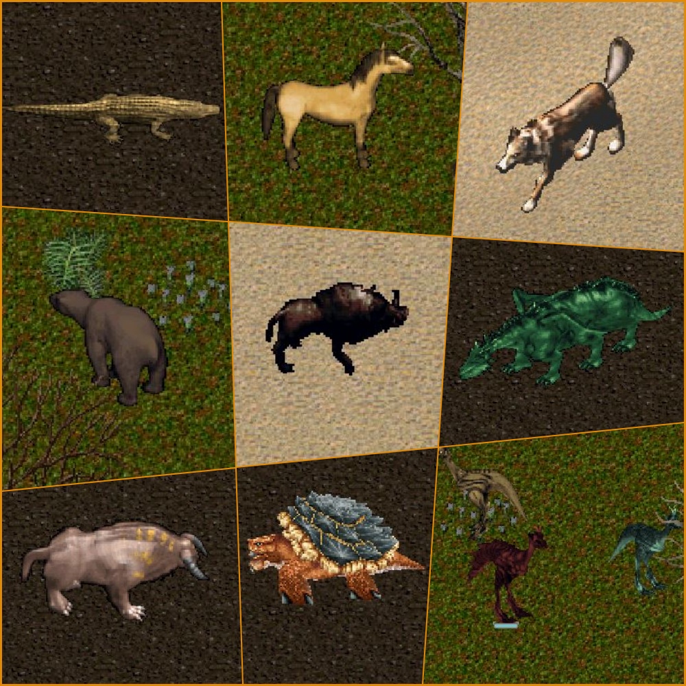 Pet