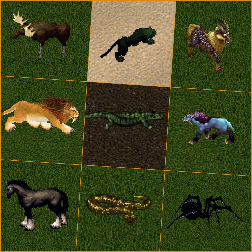 Pet