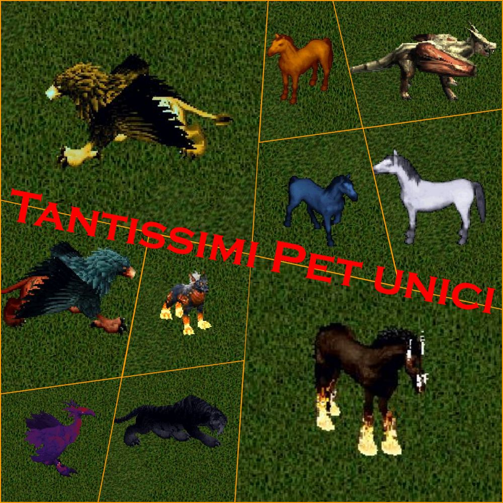Pet